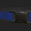 Virtual dog collar by: JMctrl - Image 2