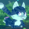 Zio Cat - Image 4